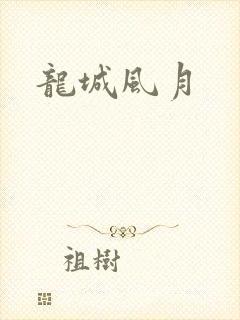 龙城风月封面
