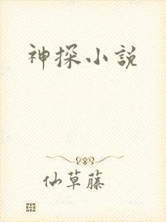 神探小说