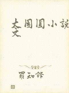 大团圆小说集全文