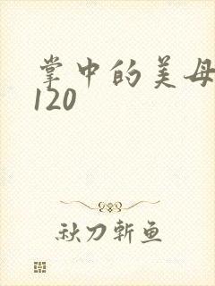 掌中的美母版主120封面
