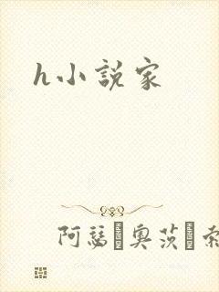 h小说家封面