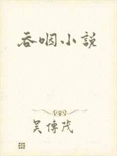 吞咽小说封面