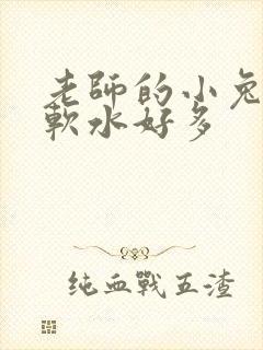 老师的小兔子好软水好多
