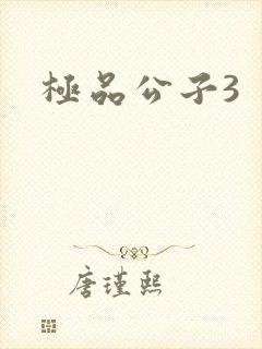 极品公子3