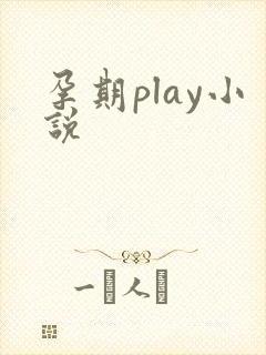 孕期play小说
