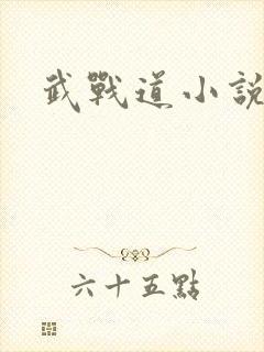 武战道小说