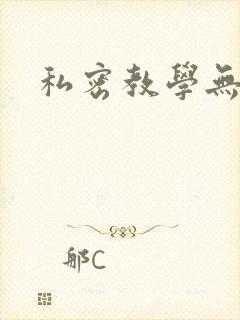 私密教学无删减封面