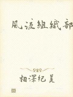 风流组织部长封面