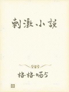 刺激小说
