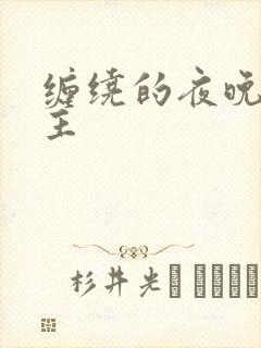 缠绕的夜晚双男主封面