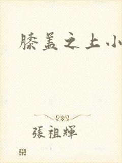膝盖之上小说