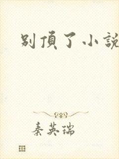 别顶了小说