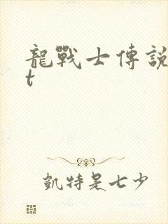 龙战士传说txt