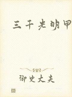 三千光明甲