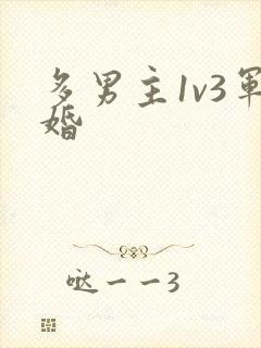 多男主1v3军婚