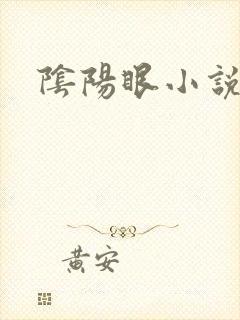 阴阳眼小说