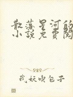 散落星河的记忆小说免费阅读全文封面