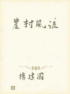 农村风流