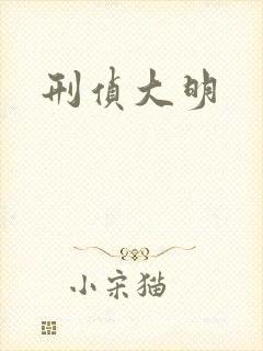 刑侦大明