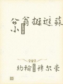 公翁挺进苏玥的小泬