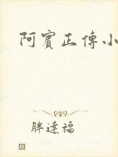 阿宾正传小说