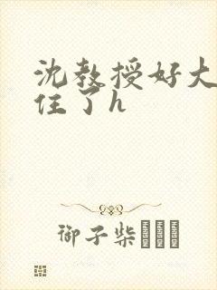 沈教授好大含不住了h