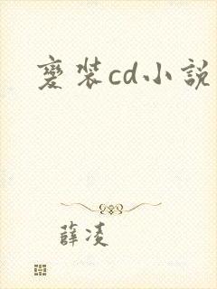变装cd小说封面