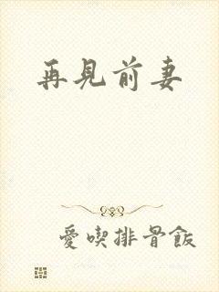 再见前妻