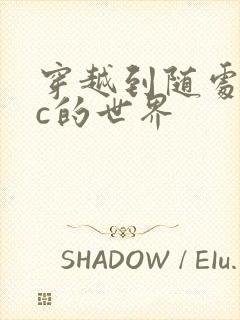 穿越到随处可以c的世界