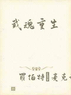 武魂重生封面