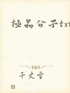 极品公子txt