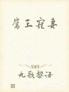 鹰王宠妻