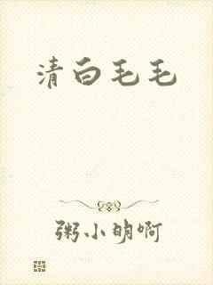 清白毛毛