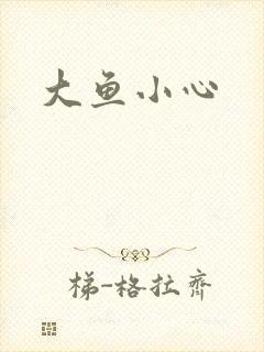 大鱼小心