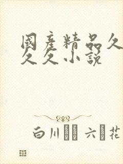 国产精品久久久久久小说