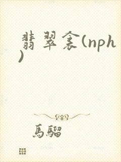 翡翠衾(nph)