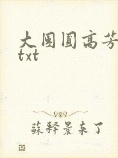 大团圆高芳小说txt
