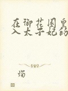 在御花园皇上进入太子妃的小说