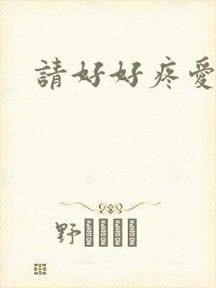 请好好疼爱里面