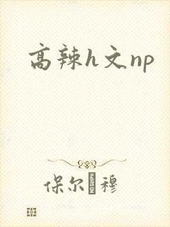 高辣h文np封面