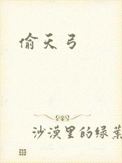 偷天弓
