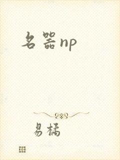 名器np