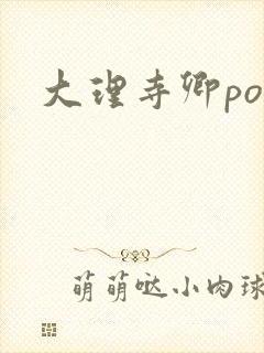 大理寺卿po