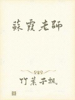 苏霞老师