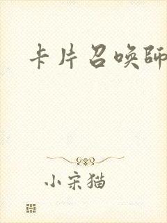 卡片召唤师