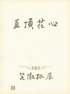 直顶花心封面