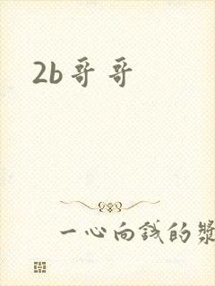 2b哥哥