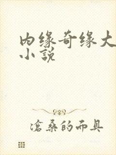 内缘奇缘大团圆小说