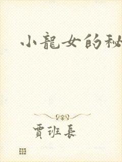 小龙女的秘密封面