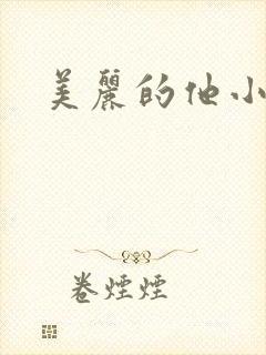 美丽的他小说